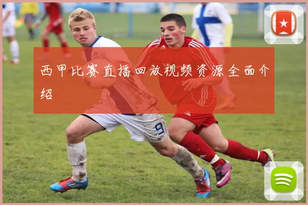 西甲比赛直播回放视频资源全面介绍