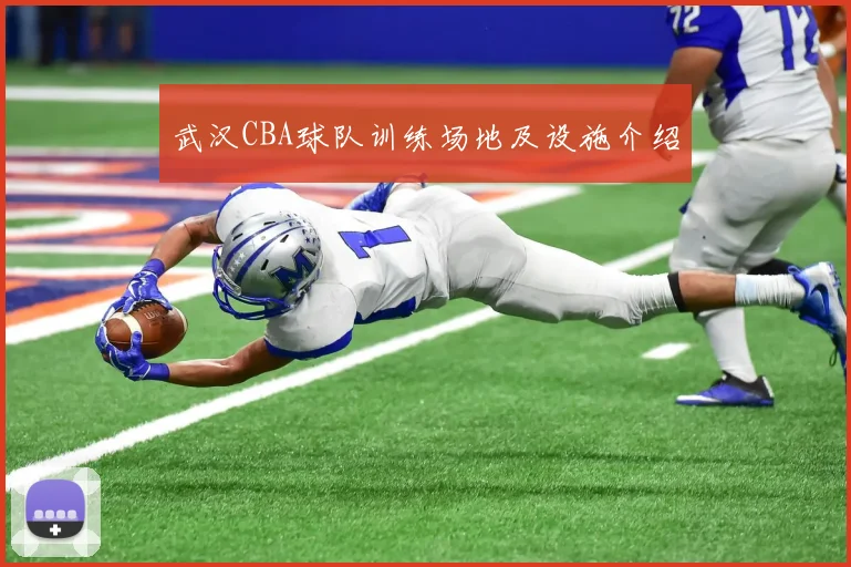 武汉CBA球队训练场地及设施介绍